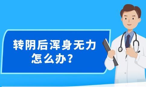 新澳精准资料免费公开,全面解析数据执行_限量版91.632