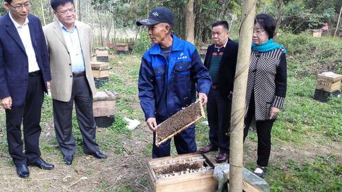 肇庆市冯敏强的最新信息